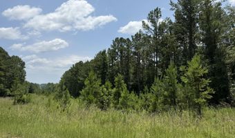 Burks Mountain Road, Appling, GA 30802