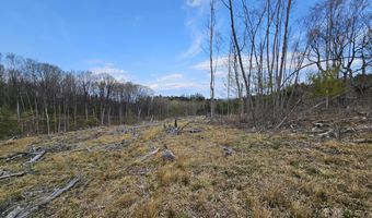 295 Shellstone Rd, Amsterdam, NY 12010