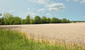 Snode Street NE, Alliance, OH 44601