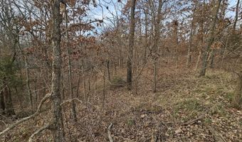 65 Acres Plainview Rd, Anderson, MO 64831