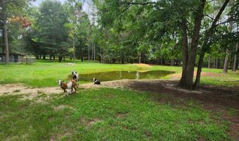786 Blackberry Rd, Baconton, GA 31716