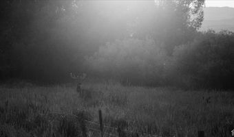 3127 US HWY 95, Cambridge, ID 83610