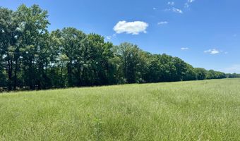 0005 Johnson Line Rd, Bolton, MS 39041