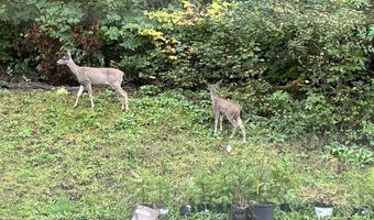 15116 NE GRANTHAM Rd, Amboy, WA 98601