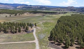 567 Bald Eagle Rd, Bayfield, CO 81122