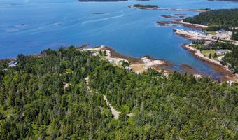 Lot 9-1 Black Duck Cove Road, Beals, ME 04611