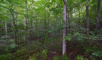 State Route 550, Amesville, OH 45711