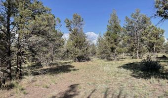 Hilltop Lane, Alturas, CA 96101