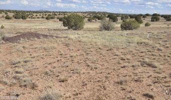 10 N9228, Concho, AZ 85924