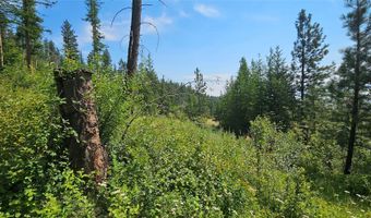 31714 Twinflower Ln, Bigfork, MT 59911