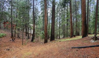 1996 Seminole Way, Arnold, CA 95223