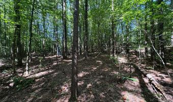 91 Hickory Creek Ln, Acworth, GA 30101