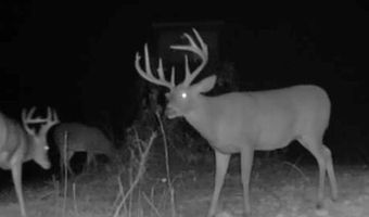 1037 Cr 300, Big Creek, MS 38914