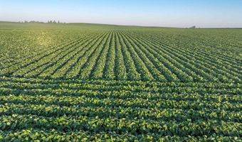 290 Th St, Aplington, IA 50604