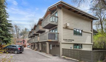 720 W Hopkins Ave Unit D, Aspen, CO 81611