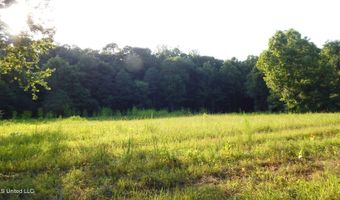 590 247 Country Rd, Bruce, MS 38915