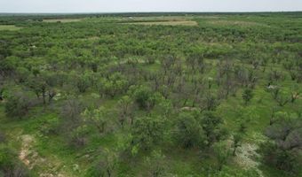 Tbd FM 600, Anson, TX 79501
