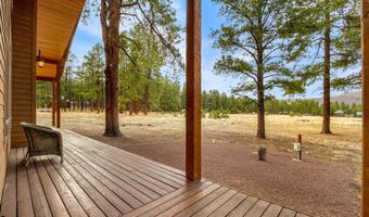 7 A County Road N2312, Alpine, AZ 85920