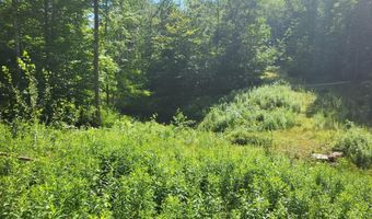 Lot39 Tripptown Road, Hiram, ME 04041