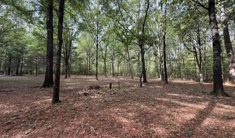 113 Woodson St, Bruce, MS 38915