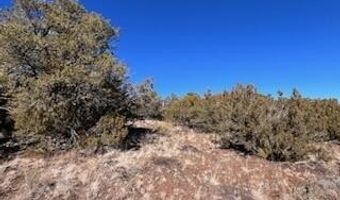 N8689 lot 002P, Concho, AZ 85924