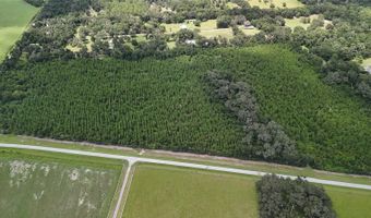 Tbd SW COUNTY ROAD 346, Archer, FL 32618