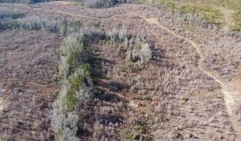 00 Hwy 38 N, Bennettsville, SC 29512