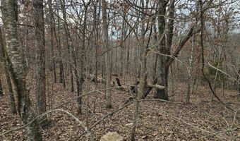 65 Acres Plainview Rd, Anderson, MO 64831