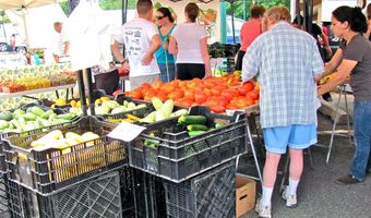 200 N PICKETT St 1514, Alexandria, VA 22304