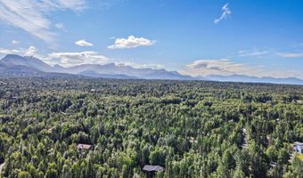 10151 Evergreen Tree St, Anchorage, AK 99507