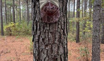 0 County Road 79 S, Baker Hill, AL 36027