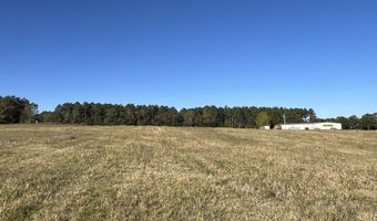 0 Tallahassee Hwy, Attapulgus, GA 39815