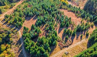 NW Lodge Rd, Banks, OR 97106