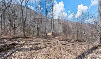 140 Wild Mountain Ln, Barnardsville, NC 28709