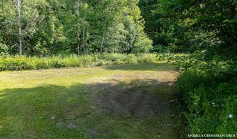 9325 S Cedar Dr, Allendale, MI 49401