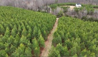 Old Courthouse Road, Appomattox, VA 24522