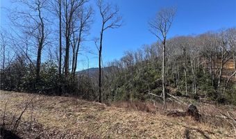 Lot # 70 Tall Tree Lane, Banner Elk, NC 28604