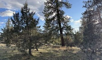 Canvasback Dr, Bonanza, OR 97623