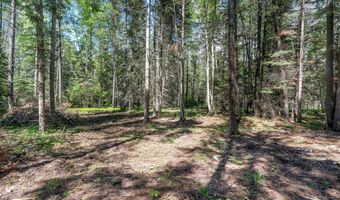 1365 MT Highway 209, Bigfork, MT 59911