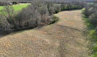 0001 CR-290, Asbury, MO 64832