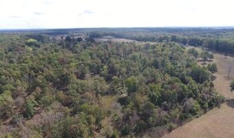 County Road 113, Alton, MO 65606