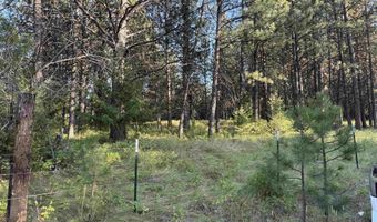 Harlow Ridge Rd - Cloverland Estates 26, Asotin, WA 99402