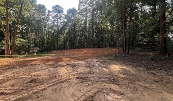 86 Kelly Ct, Blair, SC 29015