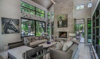 1110 Black Birch Dr, Aspen, CO 81611