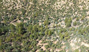 Turley Mill Lot 7, Arroyo Hondo, NM 87513