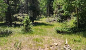 Lot 51 Via de Maria, Angel Fire, NM 87710