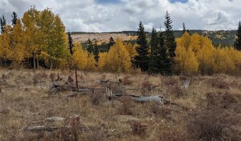 0 Snow Cap Peaks Rd, Alma, CO 80402
