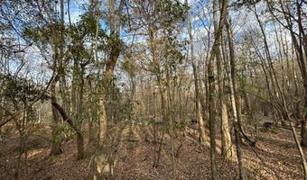 2423 Mill Creek Rd, Bethune, SC 29009