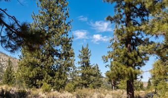 130 Chamberlain Ct Lot 189, Carson City, NV 89705