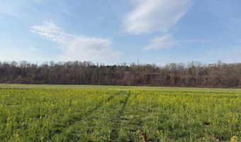 PAYNES POND RD, Arvonia, VA 23004